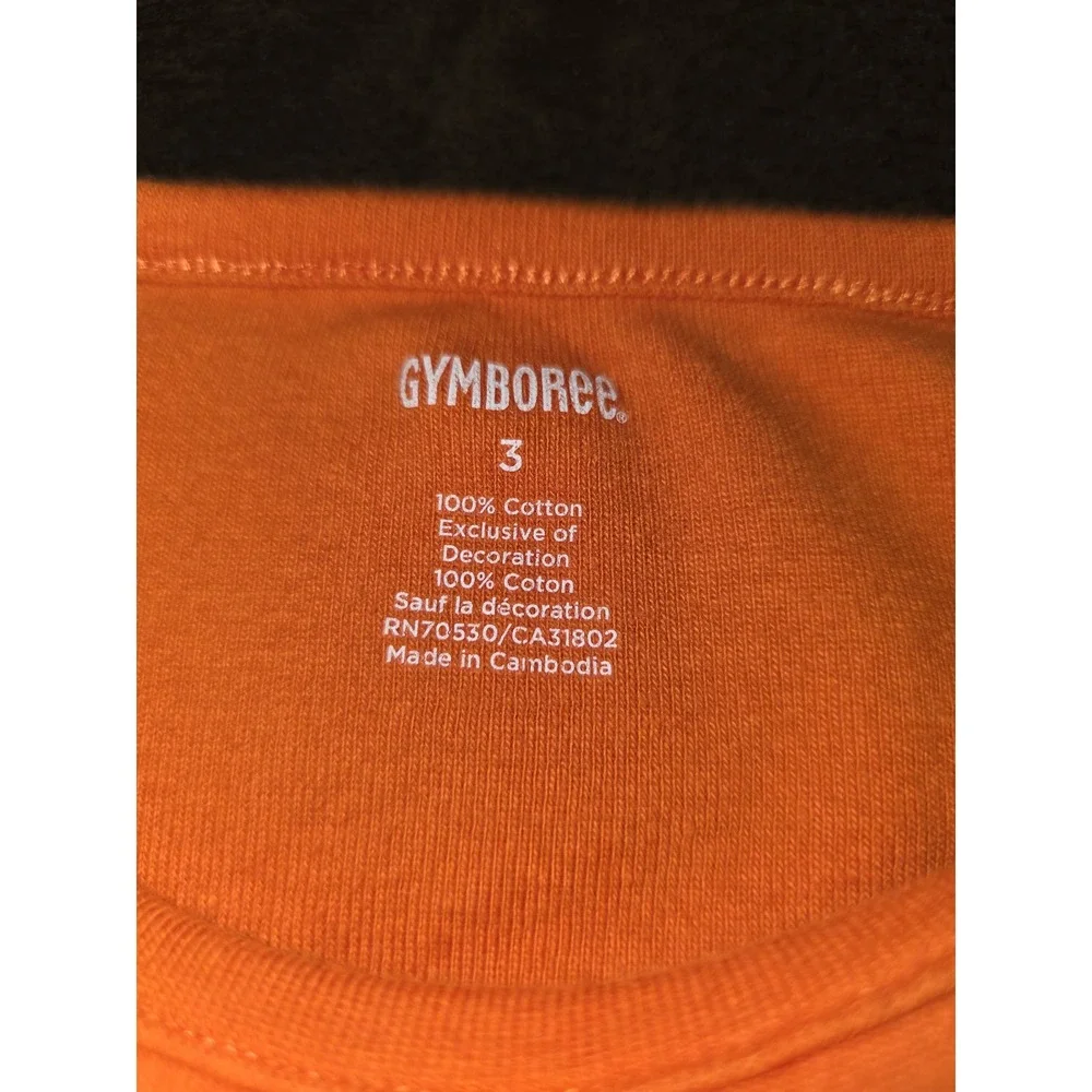Gymboree falling for feathers witch hat cat autumn Halloween top size 3